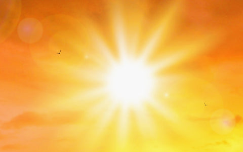 Cómo proteger tu piel del daño solar: consejos para una protección solar adecuada 