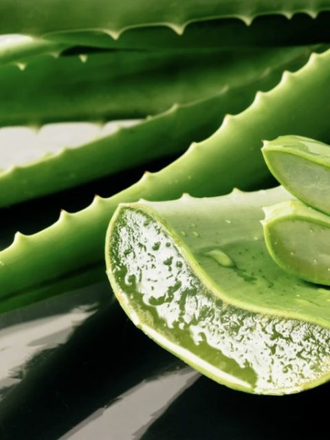 Aloe