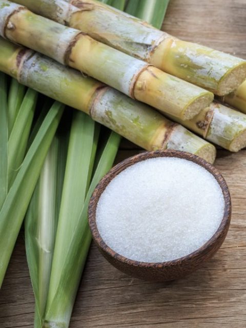 Canna da zucchero