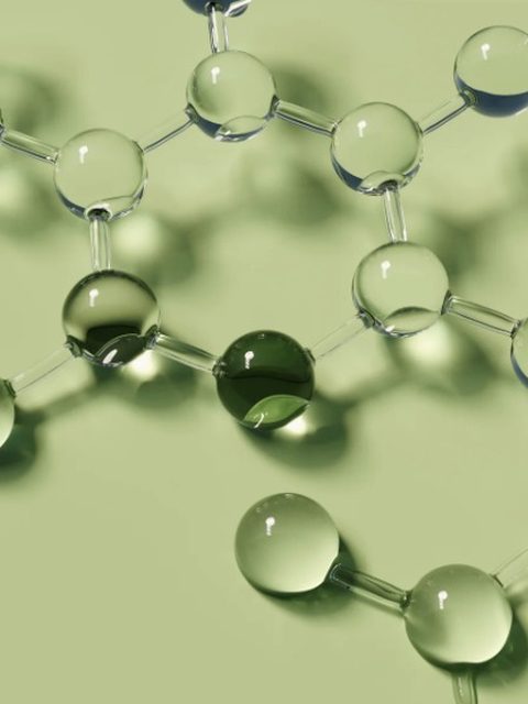 γ-Orizanolo