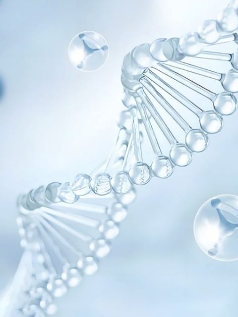 Sodium DNA