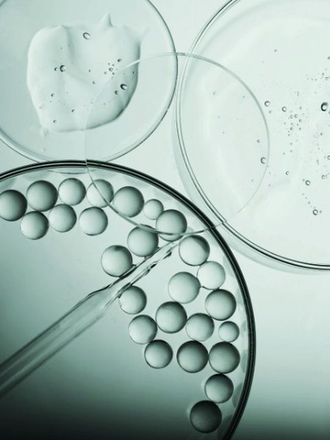 Tripeptide-38